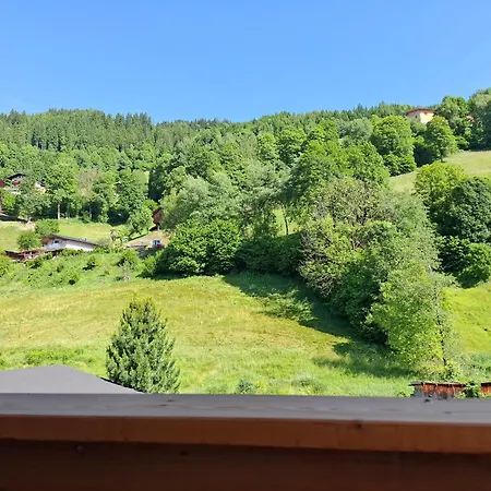 Apartment Reichholf *
