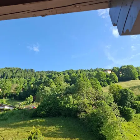 Reichholf *
