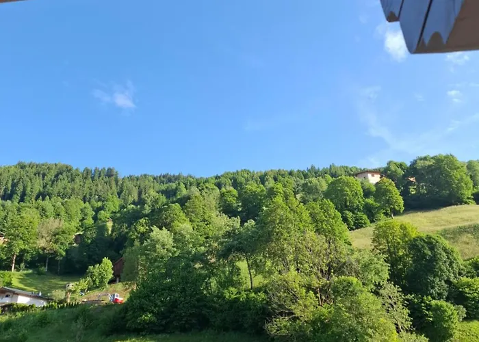 Reichholf *